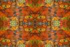 Autumn tree abstract Art Print